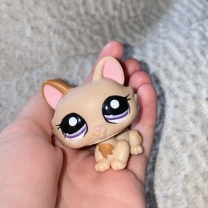 Littlest pet shop